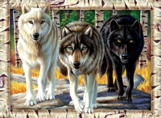 Diamond Painting Drei Wölfe